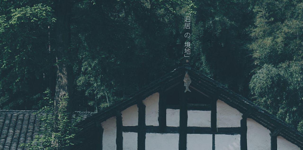 德军总部：新秩序