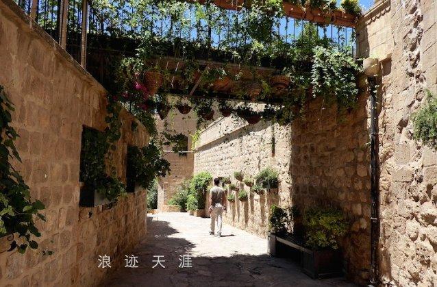 神奇小子龙之陷阱