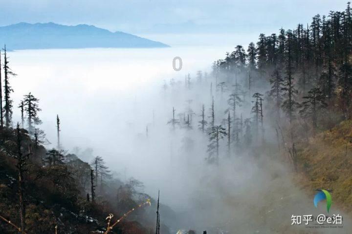 色即是空 空即是色~~~~何解？？？游戏画面