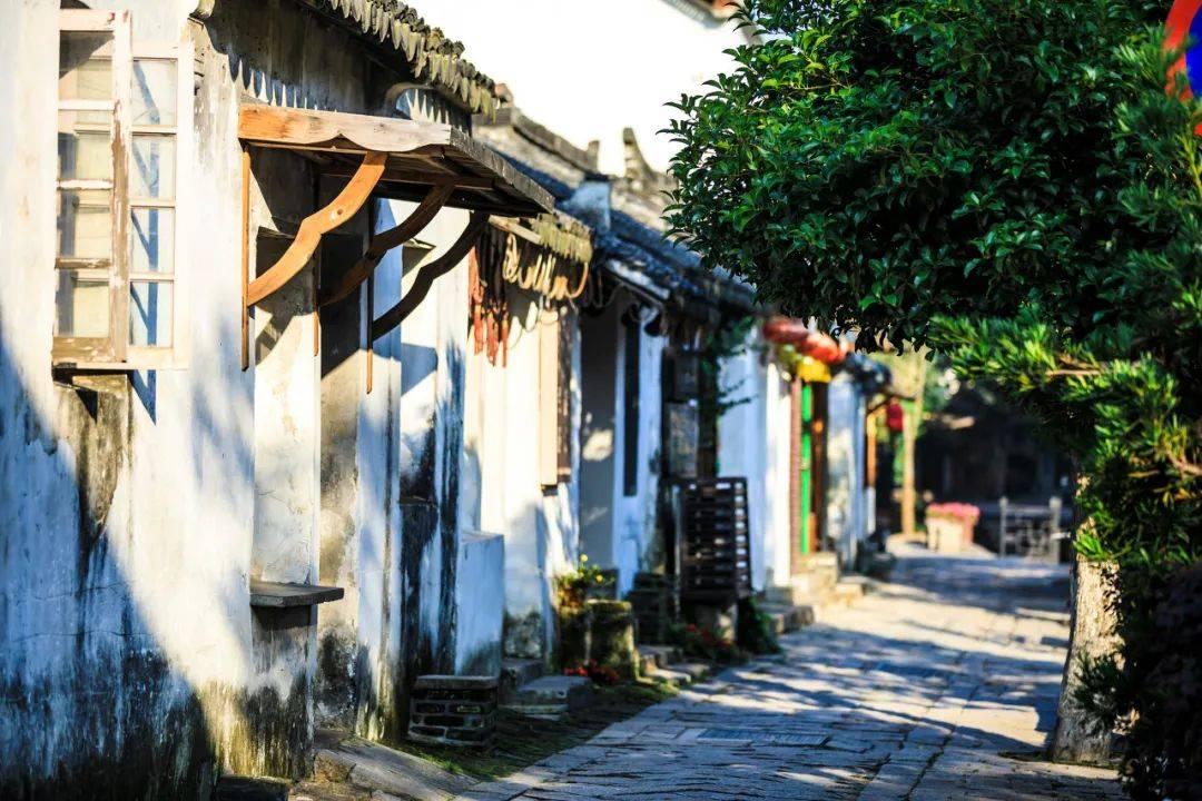 劫后余生：夺回